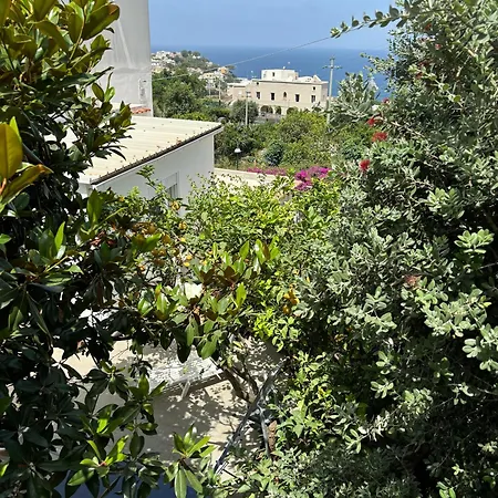 Nennell'apartment Capri
